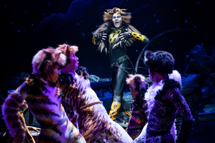 McGee Maddox as _Rum Tug Tugger_ and the North American Tour Company of CATS. Photo by Matthew Murphy. 2019